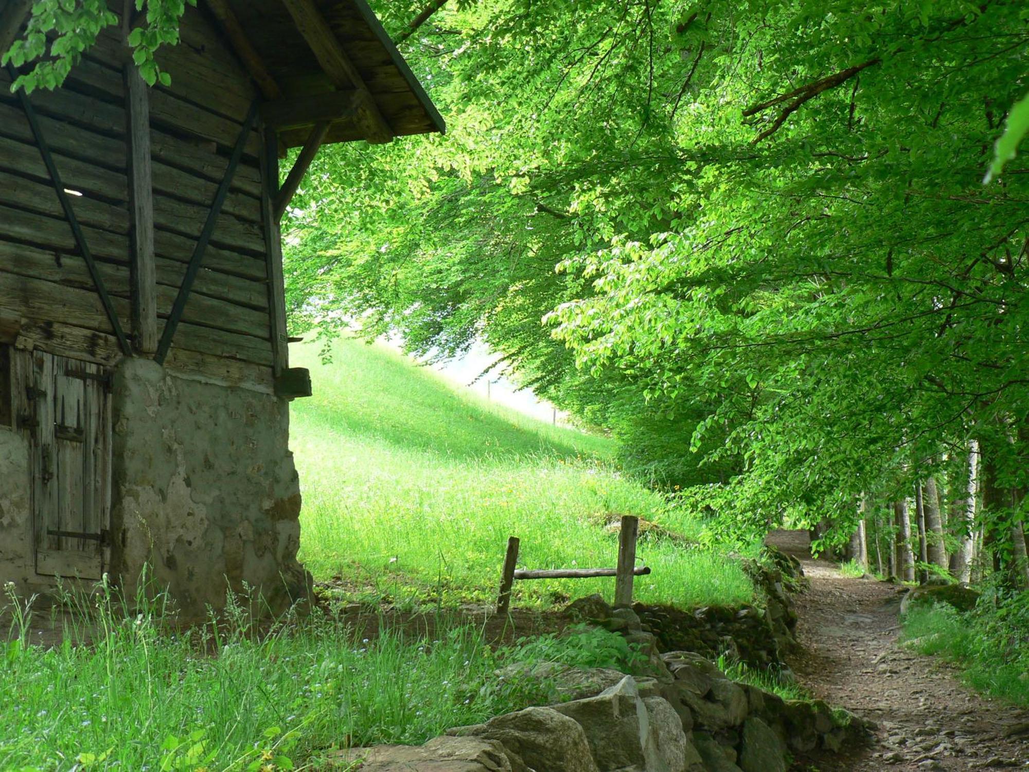 B3 Boutique-Bed&Breakfast Gsteigwiler Buitenkant foto
